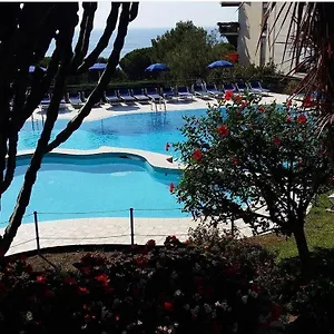 https://dedelollos-home.hotelitalianriviera.com